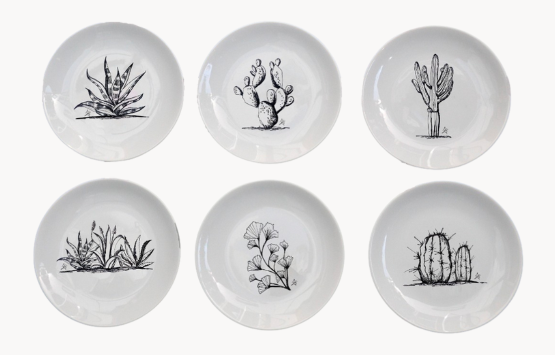 Platos CACTUS