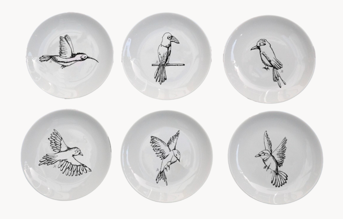 Platos PÁJAROS